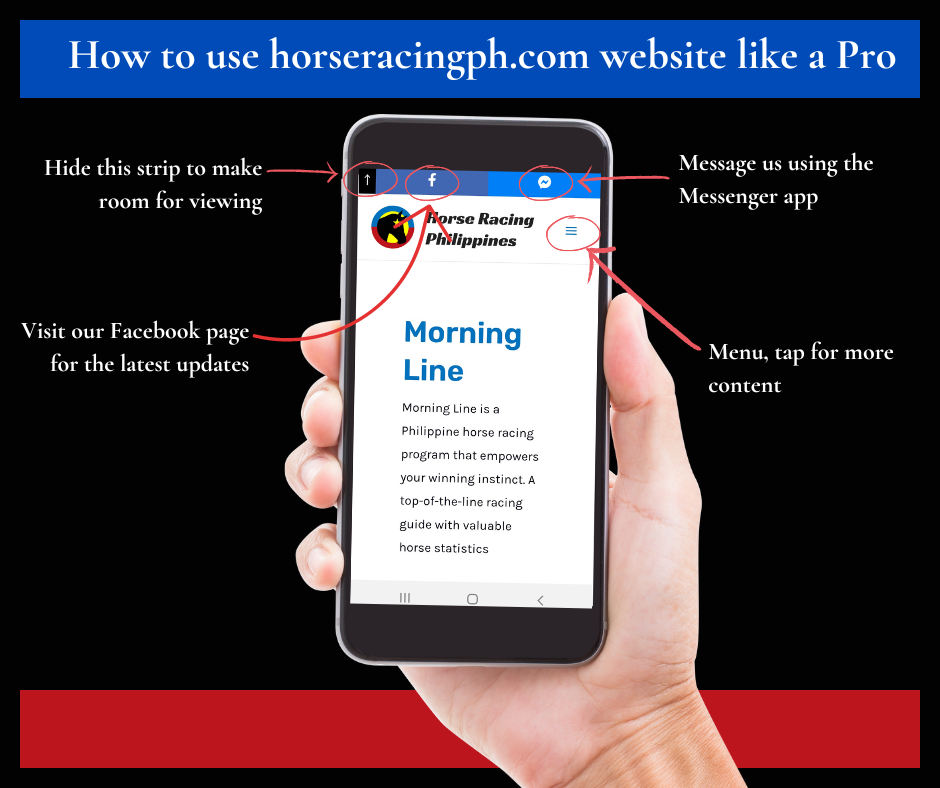 How to use horseracingph.com site